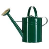 Zink-Gießkanne, 9 L, Grün