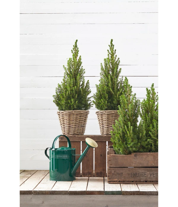 Zink-Gießkanne, 9 L, Grün 4 Zink-Gießkanne, 9 L, Grün – Bild 2