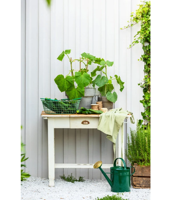 Zink-Gießkanne, 9 L, Grün 7 Zink-Gießkanne, 9 L, Grün – Bild 5