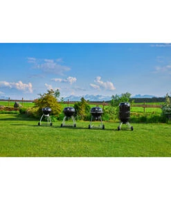 Rösle Holzkohle-Kugelgrill No.1 Sport F50 -Garten Umfassend Geschäft 1640432 WE MO 001 DFBKugelgrillRoesle