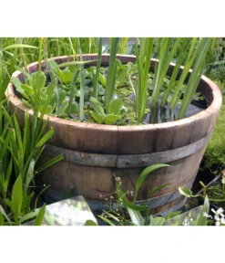 Holz-Weinfasskübel, Rund, Braun -Garten Umfassend Geschäft 1710680 WE MO 001 WeinfassKuebelEiche