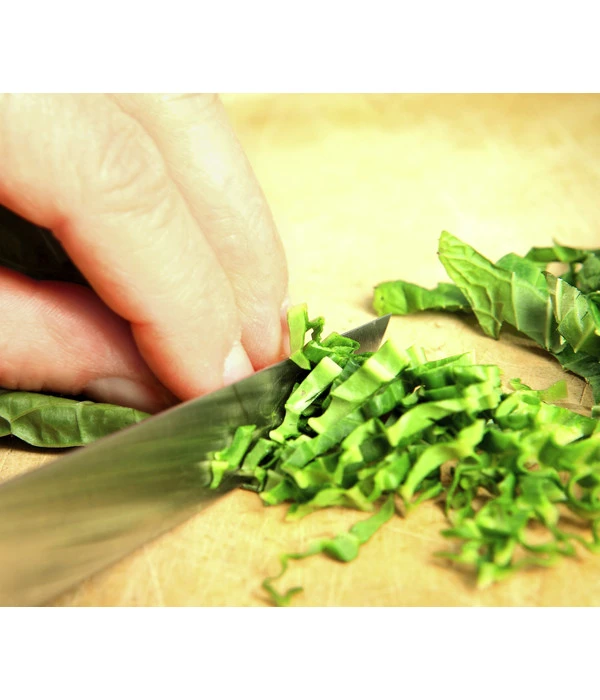 Wasabi 6 Wasabi – Bild 4