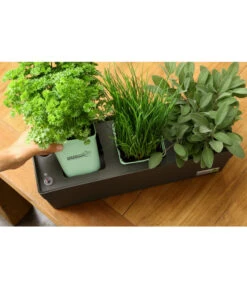 GREENBAR® Ersatzvlies, 3er-Pack -Garten Umfassend Geschäft 20150713 338 greenbar steps 4 studio herzig