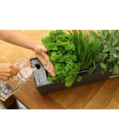 GREENBAR® Ersatzvlies, 3er-Pack -Garten Umfassend Geschäft 20150713 347 greenbar steps 5 studio herzig