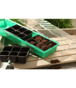 Dehner Zimmergewächshaus Frans, 54 X 15 X 12 Cm -Garten Umfassend Geschäft 207456 BildM 001 RombergZimmergewaechshausFransFensterbGewH54X15x12