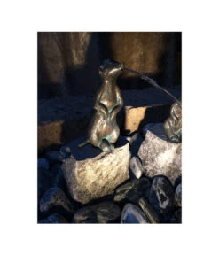 Rottenecker Bronze-Erdmännchen Auf Granit, Wasserspeiend