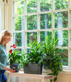 LECHUZA® Kasten DELTA, All-in-One-Set 8 LECHUZA® Kasten DELTA, All-in-One-Set -Garten Umfassend Geschäft 2418598 WE MO 001 DeltaAnthrazitPruoColor 2427508 5496443