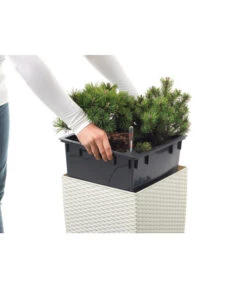 Dehner Kunststoff-Flechttopf Dallas, Quadratisch -Garten Umfassend Geschäft 2460020 WE DE 001 EmsaKunststofftopf36x36cmweiss