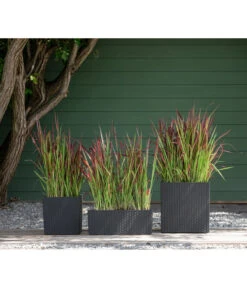 Dehner Kunststoff-Pflanztopf Dallas, Quadratisch, Ca. B35/H34/T35 Cm -Garten Umfassend Geschäft 2460046 WE MO 003 DehnerKunststoffPflanztopfDallasquadratisch