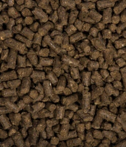 COMPO BIO Universal Langzeit-Dünger Mit Schafwolle, 2 Kg -Garten Umfassend Geschäft 2528917 WE DE 002 COMPOBIOUniversalLangzeitDungermitSchafwolle