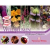 Thompson & Morgan Samen 'Wildblumen-Collection' -Garten Umfassend Geschäft 2531705 WE FS 001 ThompsonMorganWildblumenCollection