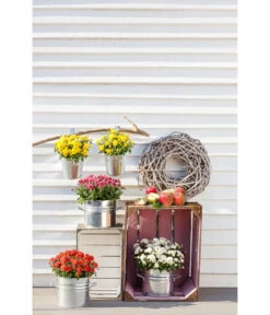 Zinktopf Mit Bügelhalter, Rund -Garten Umfassend Geschäft 2533388 WE MO 004 ZinktopfmitBuegelhalter