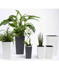 Dehner Kunststoff-Topf Elise, Konisch, Glänzend, Inkl. Bewässerungssystem -Garten Umfassend Geschäft 2540136 MA FS 007 DehnerKunststofftopfElisemitSelbstbewaesserungsSystemca47x25x25cmanthrazit