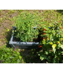 KHW Kunststoff-Pflanzkasten, 100 X 43 X 41 Cm 15 KHW Kunststoff-Pflanzkasten, 100 X 43 X 41 Cm -Garten Umfassend Geschäft 2549483 WE DE 003 Pflanzkasten100cmanthrazit