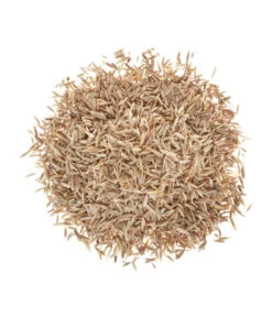 Wolf-Garten Wolf Premium-Rasen Supra 5 Wolf-Garten Wolf Premium-Rasen Supra -Garten Umfassend Geschäft 2682078 BildD 001 RasenSaatgutWolfPremiumRasenSupraPremiumRasenSupra25Qm