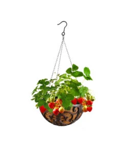 Dehner Gusseisen-Hängeampel Katalonien Mit Kokoseinlage, Rund, Rost, Ca. Ø30/H15 Cm -Garten Umfassend Geschäft 2745461 WE MO 001 GusseisenHaengeampel30cm