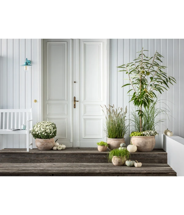 Terrakotta-Topf Bavaria, Rund 4 Terrakotta-Topf Bavaria, Rund – Bild 2