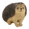 Dehner Polyresin-Igel, Ca. B20/H15/T12 Cm -Garten Umfassend Geschäft 3254455 WE FS 001 DehnerPolyresinIgel20x12x15cmMQ