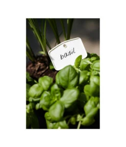 Elho Pflanz-Stift, 5 Stück -Garten Umfassend Geschäft 3266806 MO FS 001 PflanzstiftMweissElhoEtikett