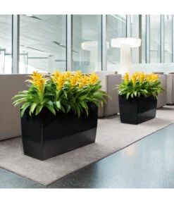 LECHUZA® CARARO, All-in-One-Set, 43 X 30 X 75 Cm 7 LECHUZA® CARARO, All-in-One-Set, 43 X 30 X 75 Cm -Garten Umfassend Geschäft 3409273 BildM 001 CararoSchwarzLechuza