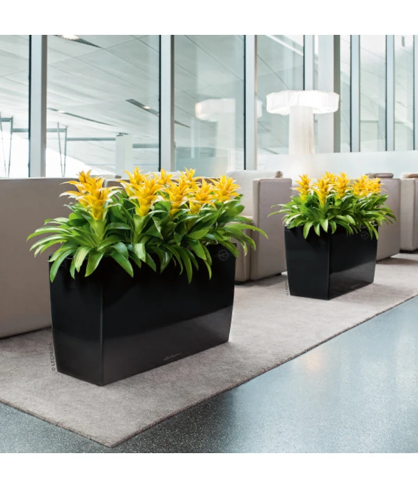 LECHUZA® CARARO, All-in-One-Set, 43 X 30 X 75 Cm 5 LECHUZA® CARARO, All-in-One-Set, 43 X 30 X 75 Cm – Bild 3