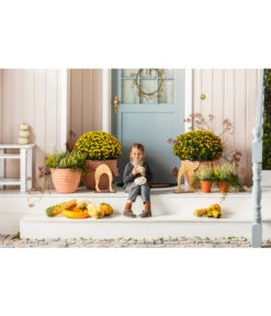 Vasar Kunststoff-Topf Murano -Garten Umfassend Geschäft 3651171 WE MO 003 FerrumbuckelndeHolzKatzemitMetallApplikationen