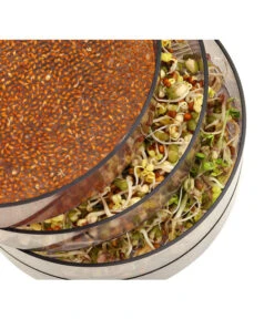 Dehner Sprossenhaus, 4 Schalen -Garten Umfassend Geschäft 3677101 WE MO 002 DehnerSprossenhausKeimsprossen