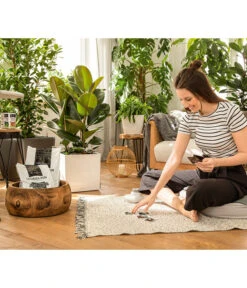 LECHUZA® PON Pflanzensubstrat -Garten Umfassend Geschäft 3679685 4191144 4191342 3634003 WE MO 004 LechuzaPONNeu n