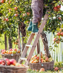 Van Der Leeden Rattan-Korb Mit Henkel, Oval, Braun -Garten Umfassend Geschäft 3679743 3683786 WE MO 001 RattanKorbmitHenkelovalbraun