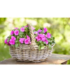 Van Der Leeden Rattan-Korb Mit Henkel, Oval, Braun -Garten Umfassend Geschäft 3679743 WE MO 002 RattanKorbmitHenkelbraun36x28x14cmBlumentopf