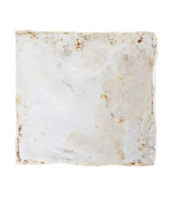 Pilzmännchen Bio Pilzzuchtset Austernpilz -Garten Umfassend Geschäft 3940285 BildD 002 PilzmaennchenBioHomePilzzuchtsetAusternpilzPilzbrutAusternpilzSet