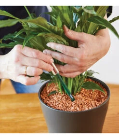 Seramis Gießanzeiger 13 Seramis Gießanzeiger -Garten Umfassend Geschäft 394684 WE MO 002 SeramisGiessanzeiger 394692