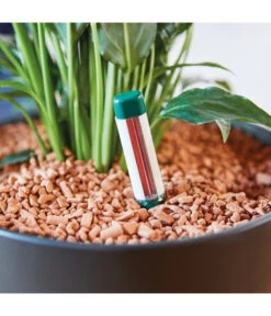 Seramis Gießanzeiger 14 Seramis Gießanzeiger -Garten Umfassend Geschäft 394684 WE MO 003 SeramisGiessanzeiger 394692