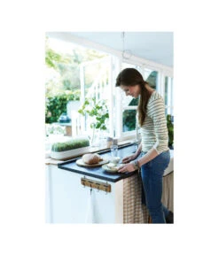 Elho Anzuchthaube L 7 Elho Anzuchthaube L -Garten Umfassend Geschäft 4026704 WE MO 001 AnzuchthausLTransparentElho