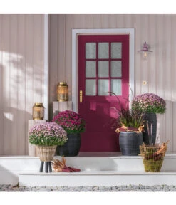 Van Der Leeden Rattan-Topf -Garten Umfassend Geschäft 4036943 WE MO 004 RattanTopfhochbraun