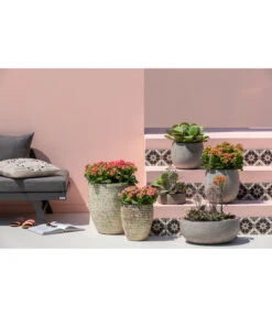 Dehner Leichtbeton-Topf Balloon Stone, Grau -Garten Umfassend Geschäft 4058046 4058087 4057972 WE MO 005 DehnerLeichtbetonTopfBalloon