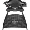 Weber Gasgrill Q 2000 Mit Stand, 55 X 39 Cm 1 Weber Gasgrill Q 2000 Mit Stand, 55 X 39 Cm -Garten Umfassend Geschäft 4073326 WE FS 001 WeberQ2000StandBlack