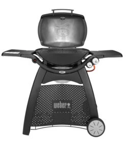 Weber Gasgrill Q 3000, 63 X 45 Cm -Garten Umfassend Geschäft 4073334 WE FS 003 WeberQ3000Black