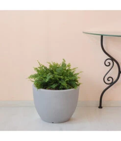 Farmet Kunststoff-Topf-Set Orione, Rund, Grau, 2-teilig -Garten Umfassend Geschäft 4179008 WE DE 002 ORIONERunderPflanzkuebelDurchmesser50cm37cmhochSTEINBEIGE