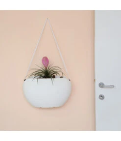 Farmet Kunststoff-Hängeampel Clio -Garten Umfassend Geschäft 4186680 WE DE 002 CLIObagmitSeil40x17x2450cmhochWEISS