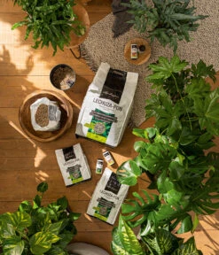 LECHUZA® PON Pflanzensubstrat -Garten Umfassend Geschäft 4191144 3679685 4191342 WE MO 003 LechuzaPonSubstrat