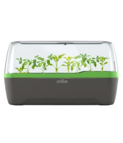 Romberg BoQube Gewächshaus -Garten Umfassend Geschäft 4299970 WE FS 005 RombergGewaechshausZimmergewaechshausAnzucht