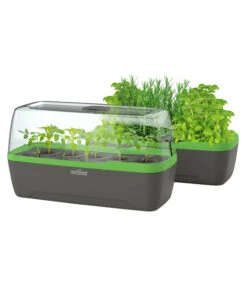 Romberg BoQube Gewächshaus -Garten Umfassend Geschäft 4299970 WE FS 006 BoQubeGewaechshausZimmergewaechshaus