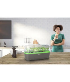 Romberg BoQube Gewächshaus -Garten Umfassend Geschäft 4299970 WE MO 001 RombergGewaechshausZimmergewaechshausAnzucht