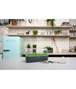 Romberg BoQube Gewächshaus -Garten Umfassend Geschäft 4299970 WE MO 002 BoQubeGewaechshausZimmergewaechshaus