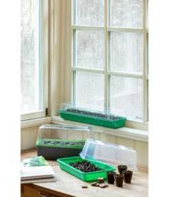 Romberg BoQube Gewächshaus -Garten Umfassend Geschäft 4299970 WE MO 004 BoQubeZimmergewaechshaus 1