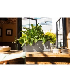 LECHUZA® Kunststoff-Kasten Balconera Stone 13 LECHUZA® Kunststoff-Kasten Balconera Stone -Garten Umfassend Geschäft 4318606 WE MO 001 LechuzaKunststoffBalkonkastenBalconeraStonePflanzkastenBlumenkasten