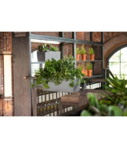 LECHUZA® Kunststoff-Kasten Balconera Stone 14 LECHUZA® Kunststoff-Kasten Balconera Stone -Garten Umfassend Geschäft 4318606 WE MO 002 LechuzaKunststoffBalkonkastenBalconeraStonePflanzkastenBlumenkasten