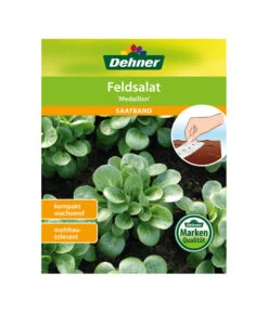 Dehner Samen-Set Easy Going -Garten Umfassend Geschäft 4322590 WE FS 005 DehnerSamenSaatgutSaemereienSetEasyGoing