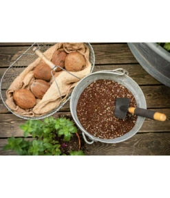 LECHUZA® VEGGIEPON Gemüsepflanzsubstrat -Garten Umfassend Geschäft 4365029 WE MO 004 LechuzaVeggiepon